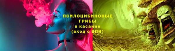 МДПВ Елизово