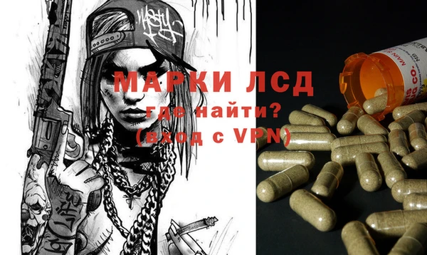 apvp Елабуга