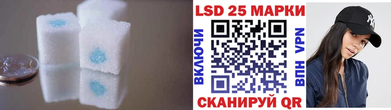 Купить закладки Оса ЛСД экстази ecstasy