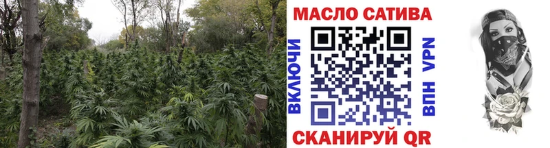 Купить  Оса  Дистиллят ТГК вейп 
