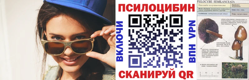 Галлюциногенные грибы Cubensis  Купить где  Оса 